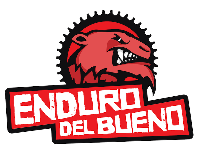 edb logo